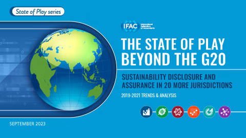 Pages from IFAC-Beyond-G20-sustainability-reporting-assurance